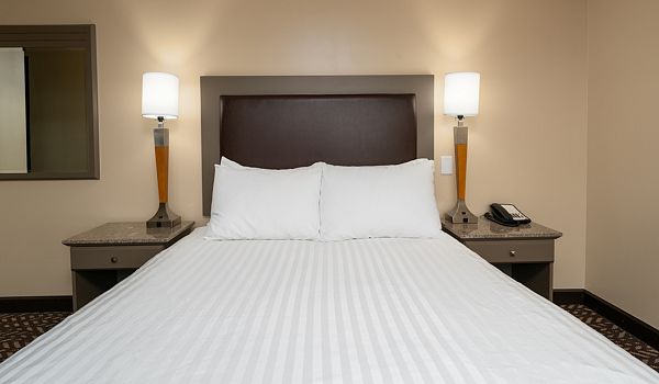 Room Photo #1