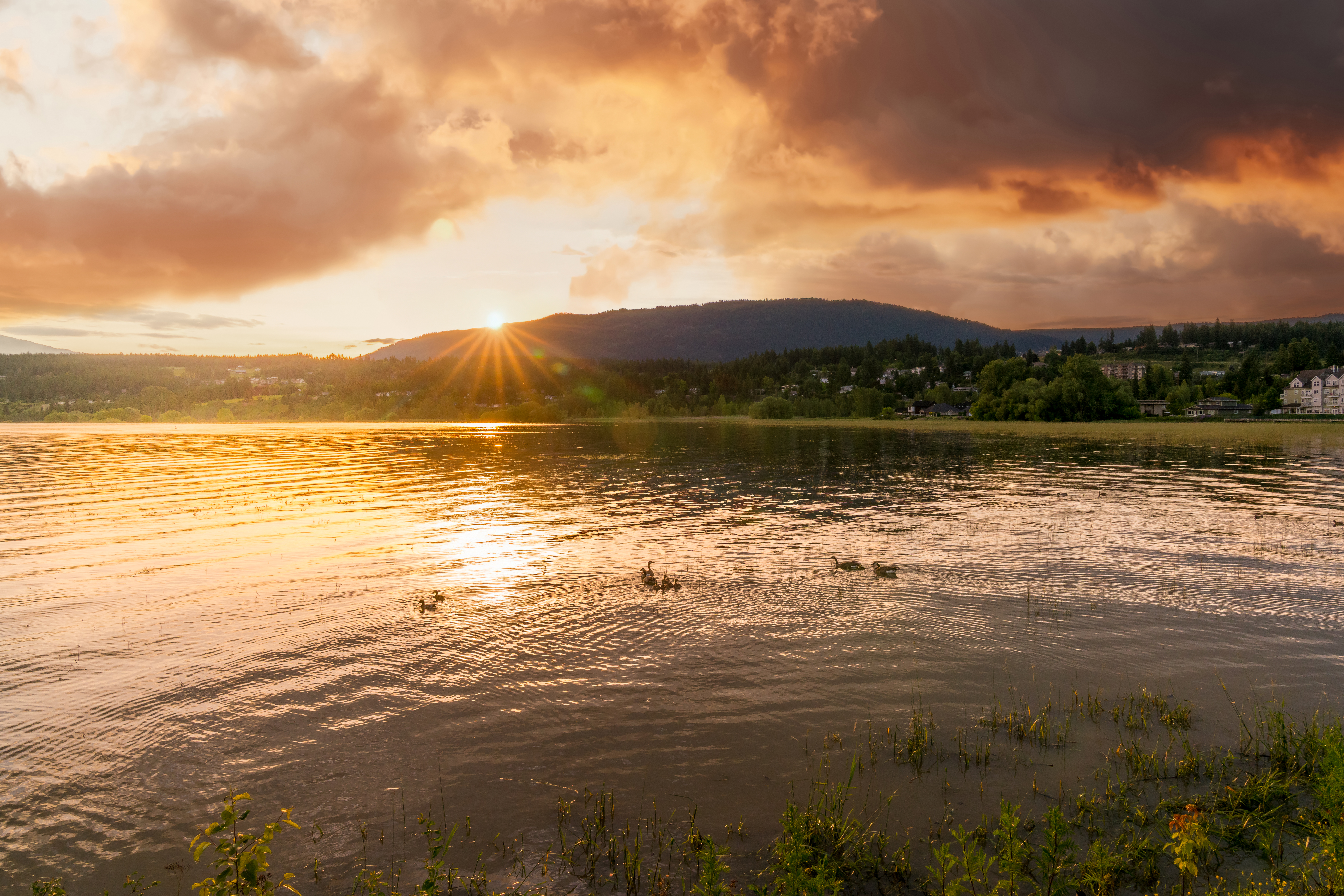 Top 5 Spring Activities in the Okanagan Thompson Valley