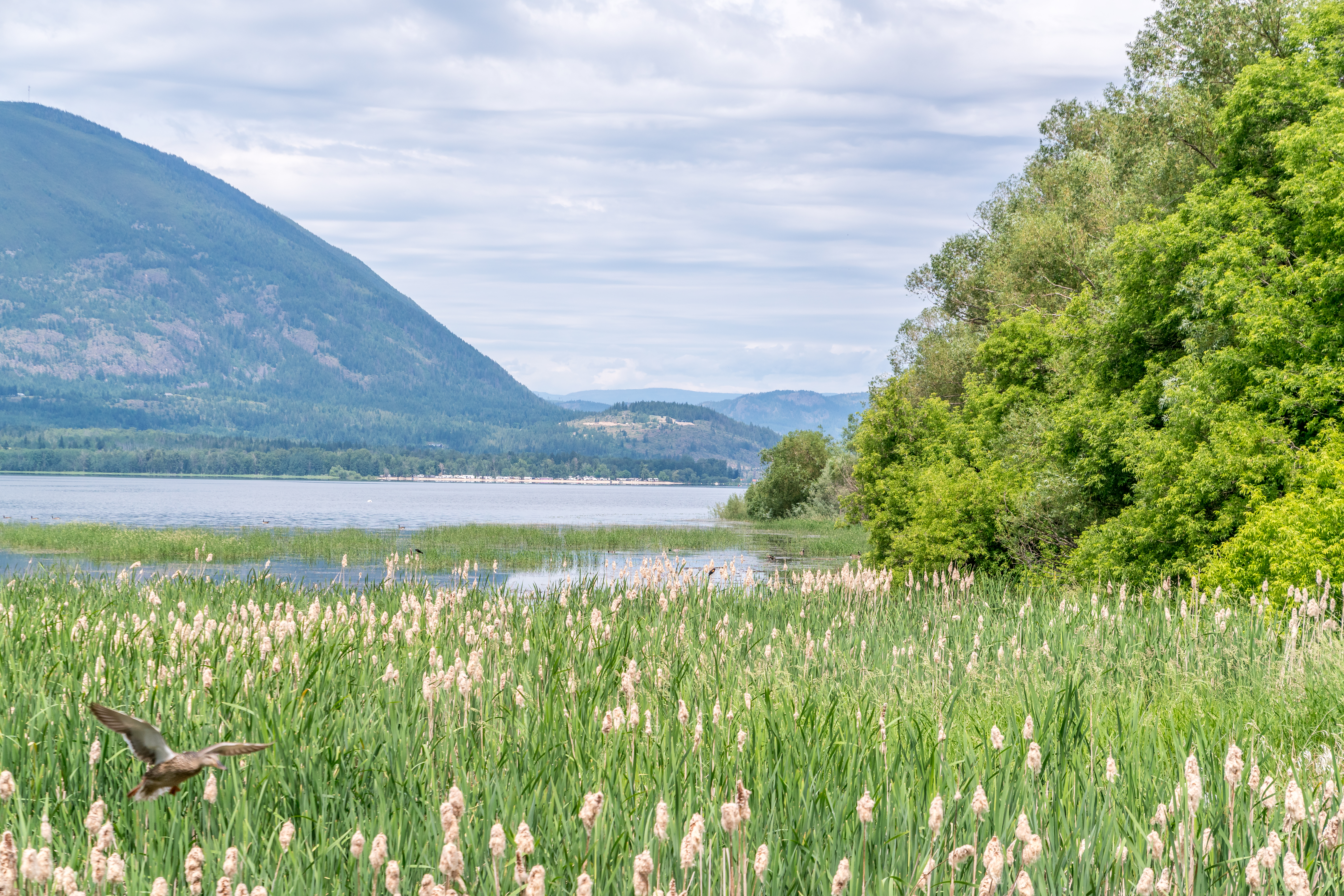 Spring Travel