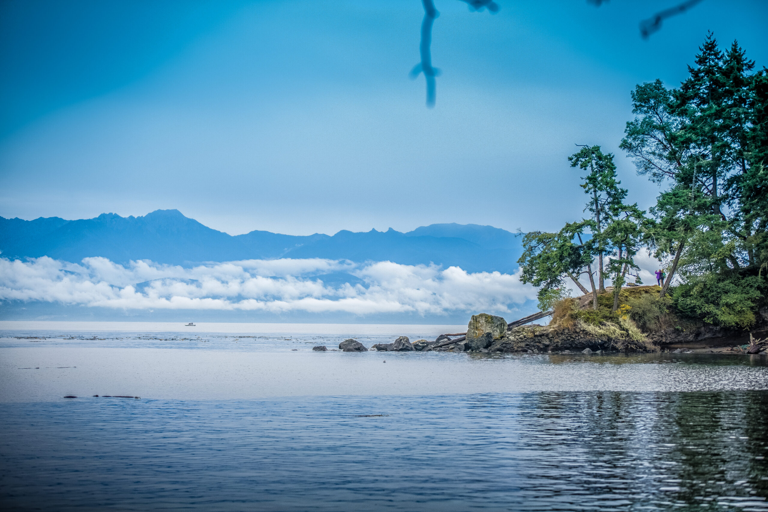 15 Years of Sooke Contest